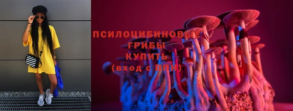 2c-b Алзамай