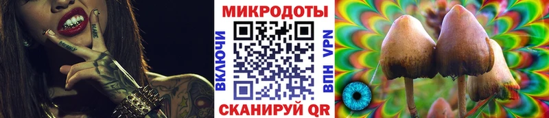 Псилоцибиновые грибы мицелий  цены   Новопавловск 
